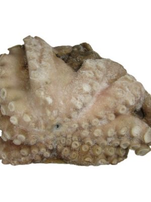 Χταπόδι Μεξικού 15 % Επίπαγος IQF (500-800 gr τεμάχιο περίπου/11 Kg κιβώτιο περίπου)