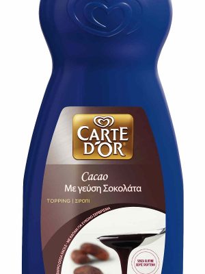 Σιρόπι Σοκολάτας "Carte d'or" (1 Kg τεμάχιο/6 τεμάχια στο κιβώτιο)